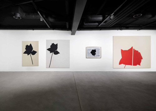 Jannis Kounellis: Io sono un pittore