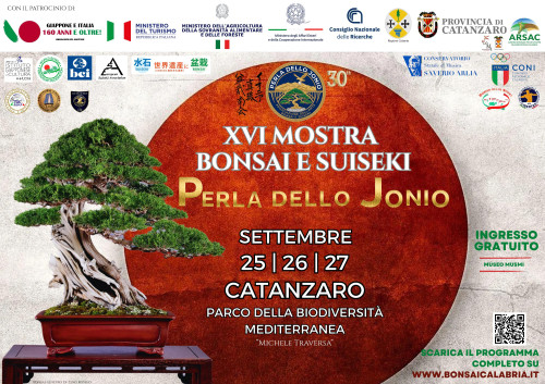 XVI Mostra Internazionale Bonsai e Suiseki “Perla dello Jonio”