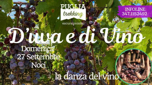 D'UVA E DI VINO  la Danza del Vino