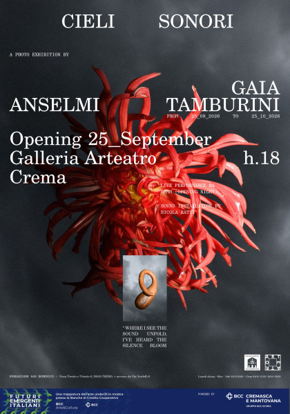 Cieli Sonori — Gaia Anselmi Tamburini