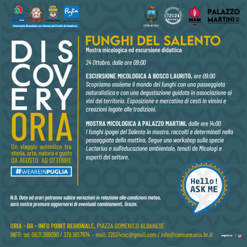 FUNGHI DEL SALENTO