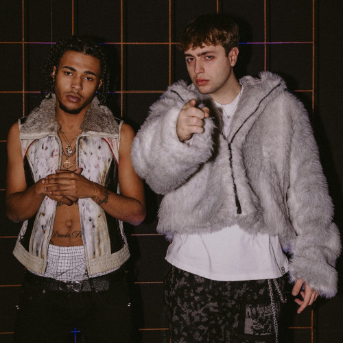 FLEXTONY and TIGERPLUG