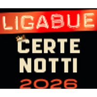 Ligabue in concerto