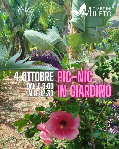Pic-nic in giardino