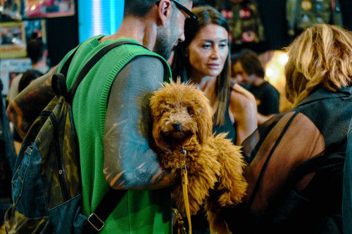 East Market presenta Pet Market, il nuovo spazio dedicato al mondo degli animali domestici