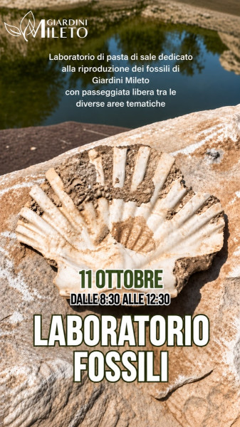 Laboratorio riproduzione fossili