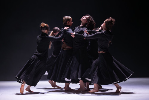 Land of Hope - Compagnie Linga