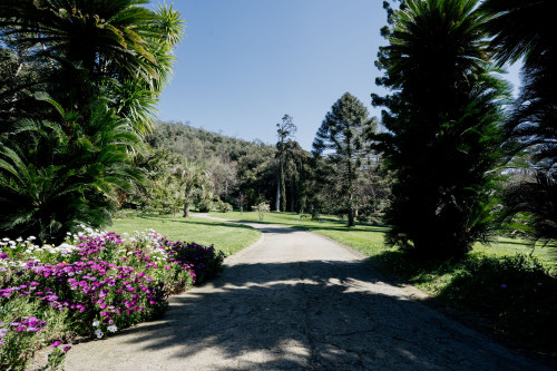 La magia del Giardino Inglese. Metamorfosi d’autunno tra natura, simboli e mistero - Orchestra Filarmonica Campana