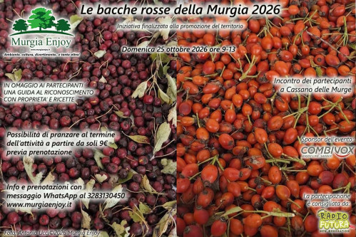 Le bacche rosse della Murgia 2026