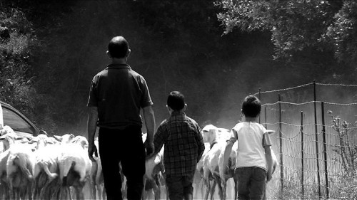Territori, memoria e diritti nei prossimi appuntamenti della rassegna Il lavoro, la terra, il potere organizzata dalla Settima Arte