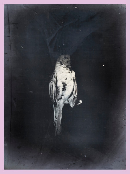 Tamaki Yoshida. Unfolding