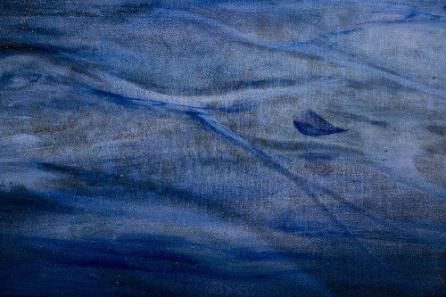 Mentre l’acqua riposa – Francesca Romana Cicia