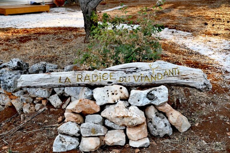 laradicedeiviandanti