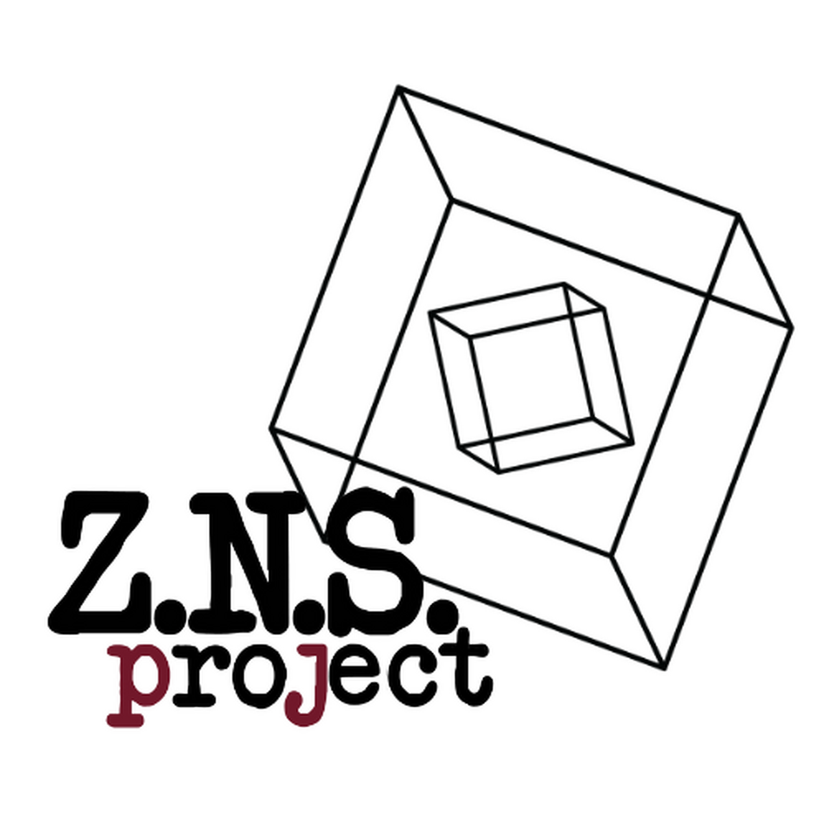 znsproject