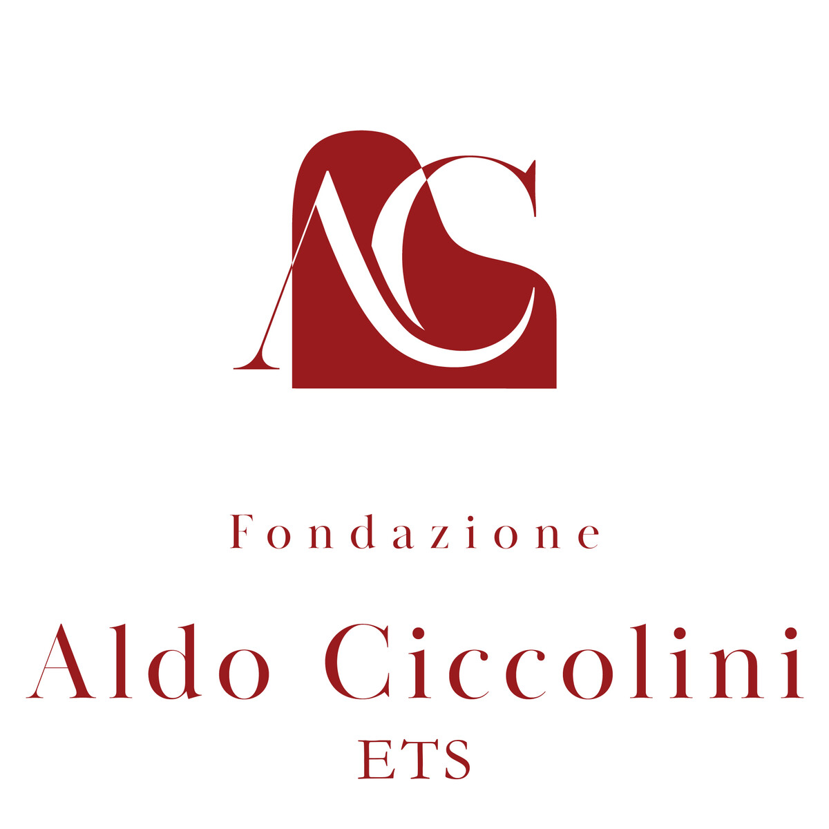 fondazionealdociccoliniets