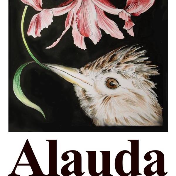 ALAUDA aps