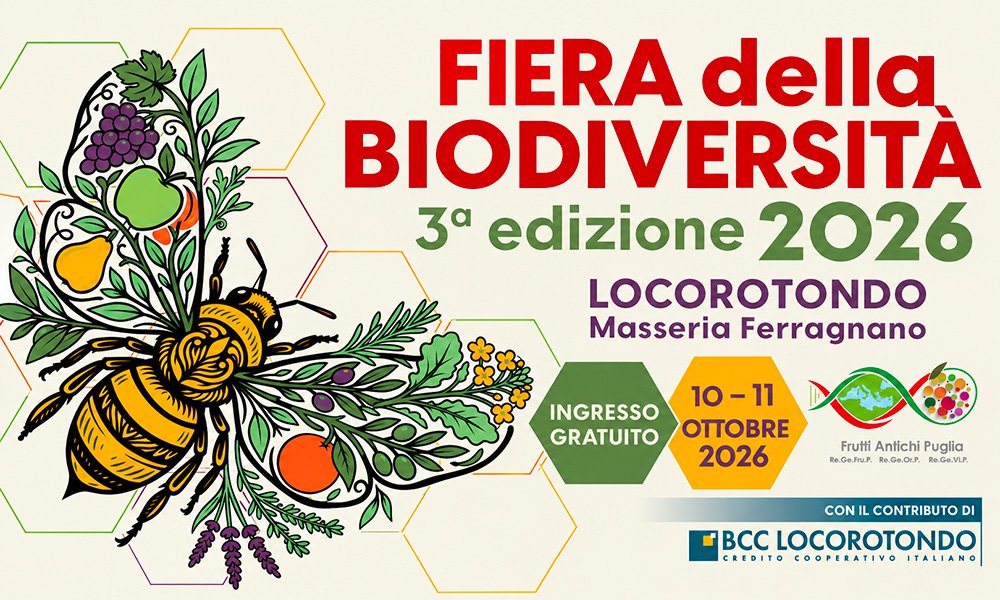 ISTITUTO TECNOLOGICO SUPERIORE ACADEMY AGROALIMENTARE PUGLIA (Fondazione ITS Academy AgriPuglia)
